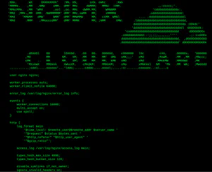 Configuring Cloudflare and Nginx